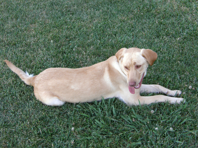 resting-after-running-too-much